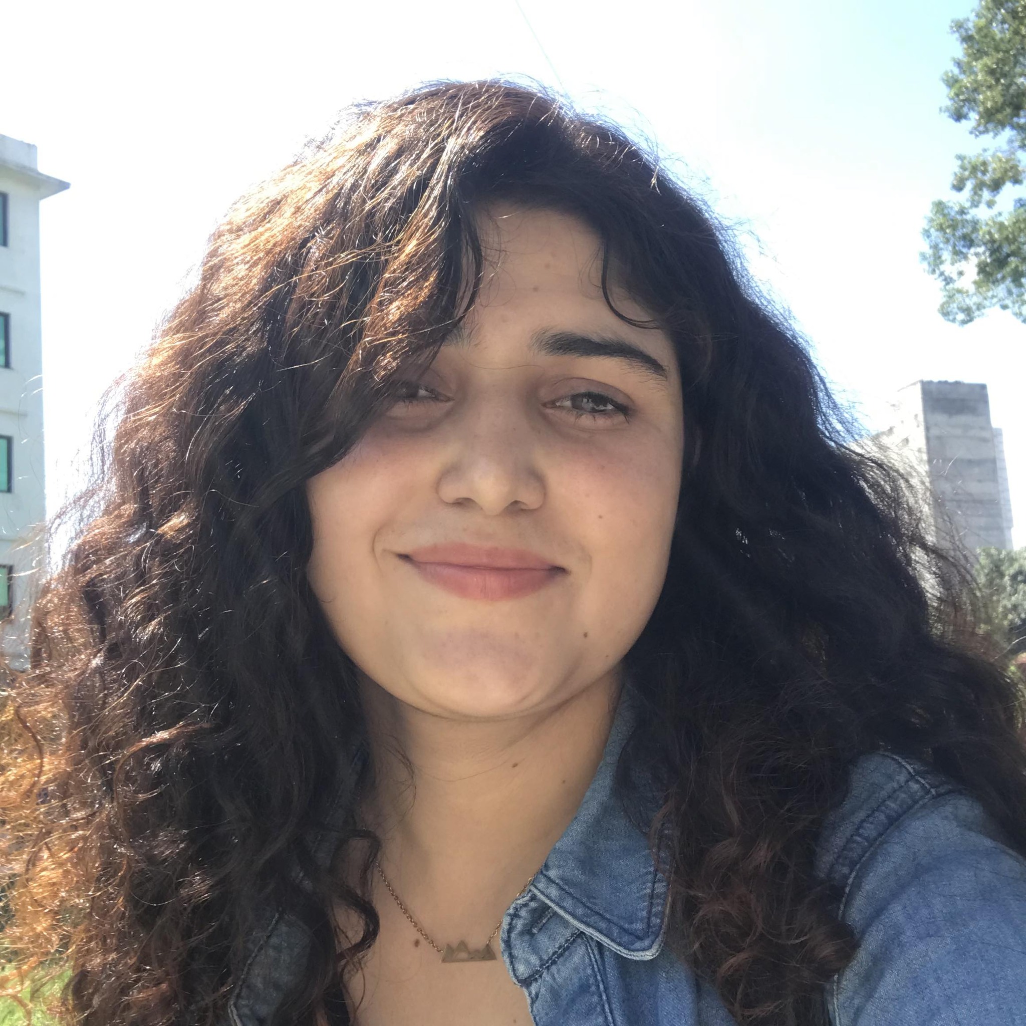 Asmita Pokhrel - Civil Engineer